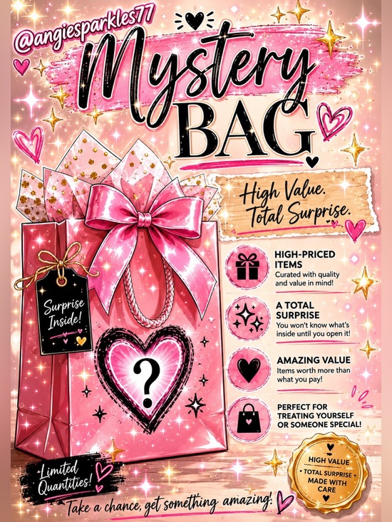 . Other - Live Show Only Mystery Bag Surprise - Pink Gift Bag with Bow